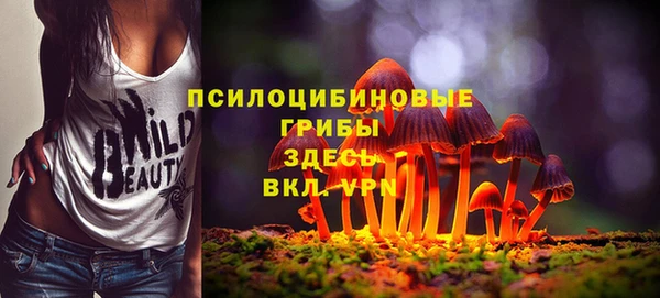 гашик Балабаново
