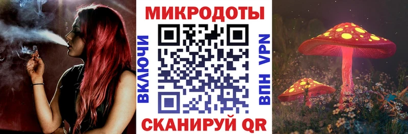 наркота Заволжск Псилоцибиновые грибы мицелий